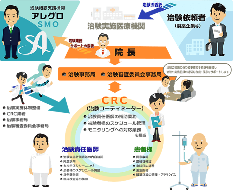 医薬品治験支援の流れ